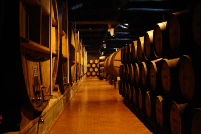 caves de vinho do porto
